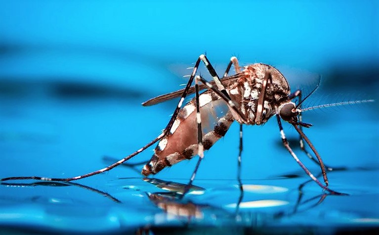 Ibatiba acende sinal de alerta na luta contra a dengue e pede colaboração da população
