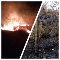 Contido incêndio em área anexa as instalações da Usina de Reciclagem de Ibatiba