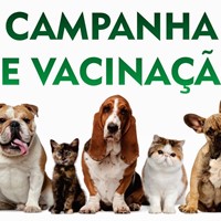 Antirrábica: Meta de vacinação de cães é atingida pela primeira vez em anos